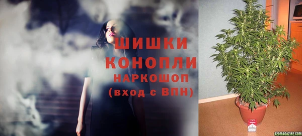 прущий лед Козловка