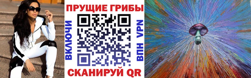 Псилоцибиновые грибы прущие грибы  гидра tor  Медвежьегорск 